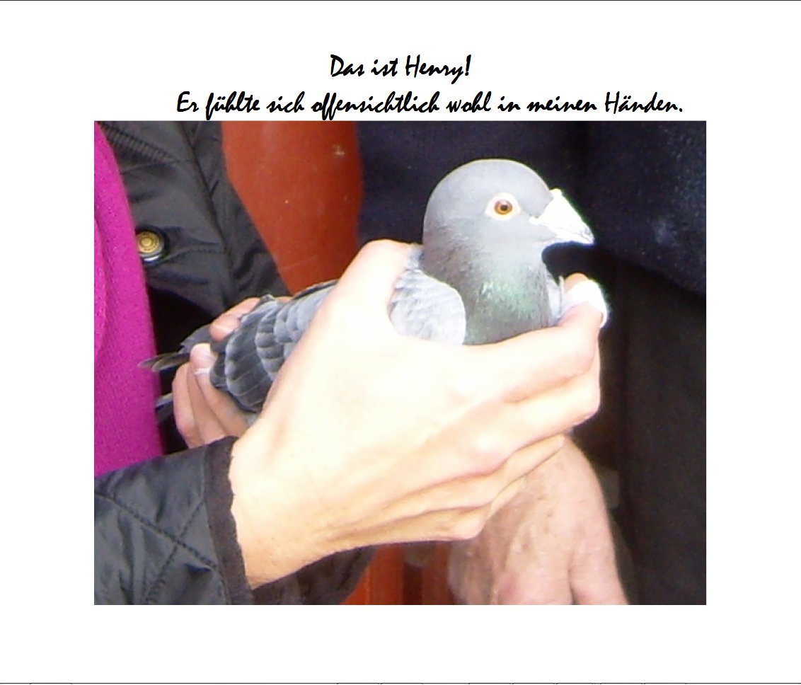 Henri