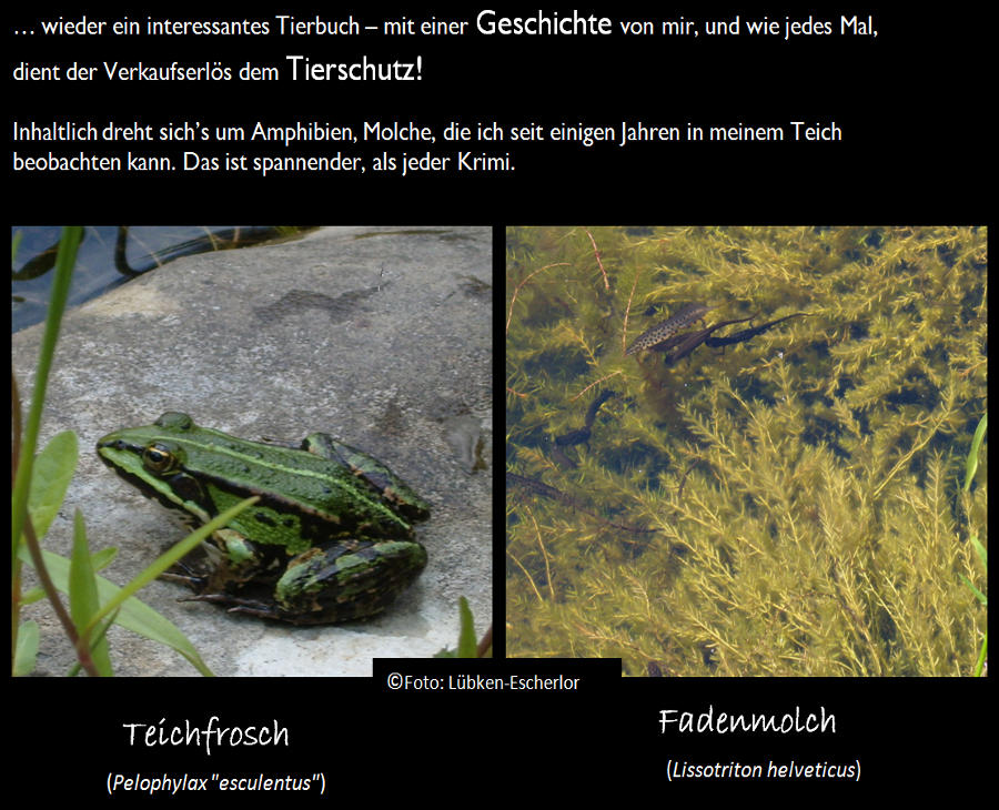 Tierbuch